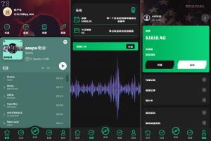 刷单抢单爆款_前端uniapp 全新多语言 音乐刷单系统 海外音乐抢单 策略组派单_T8科技