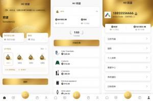 刷单抢单爆款_海外多语言 抢单刷单系统 连单卡单 刷单抢单源码 UI PHP_T8科技