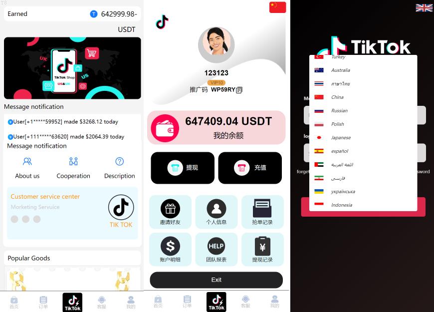 投资理财爆款_【海外多语言抢单商城】最新tiktok多语言海外刷单/抢单系统/订单自动匹配系统/连单卡单/海外源码_T8技术